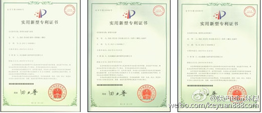 苇床柳树污水净化处理